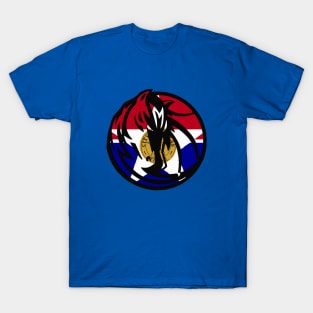 Dallas City Flag Mavericks Logo T-Shirt